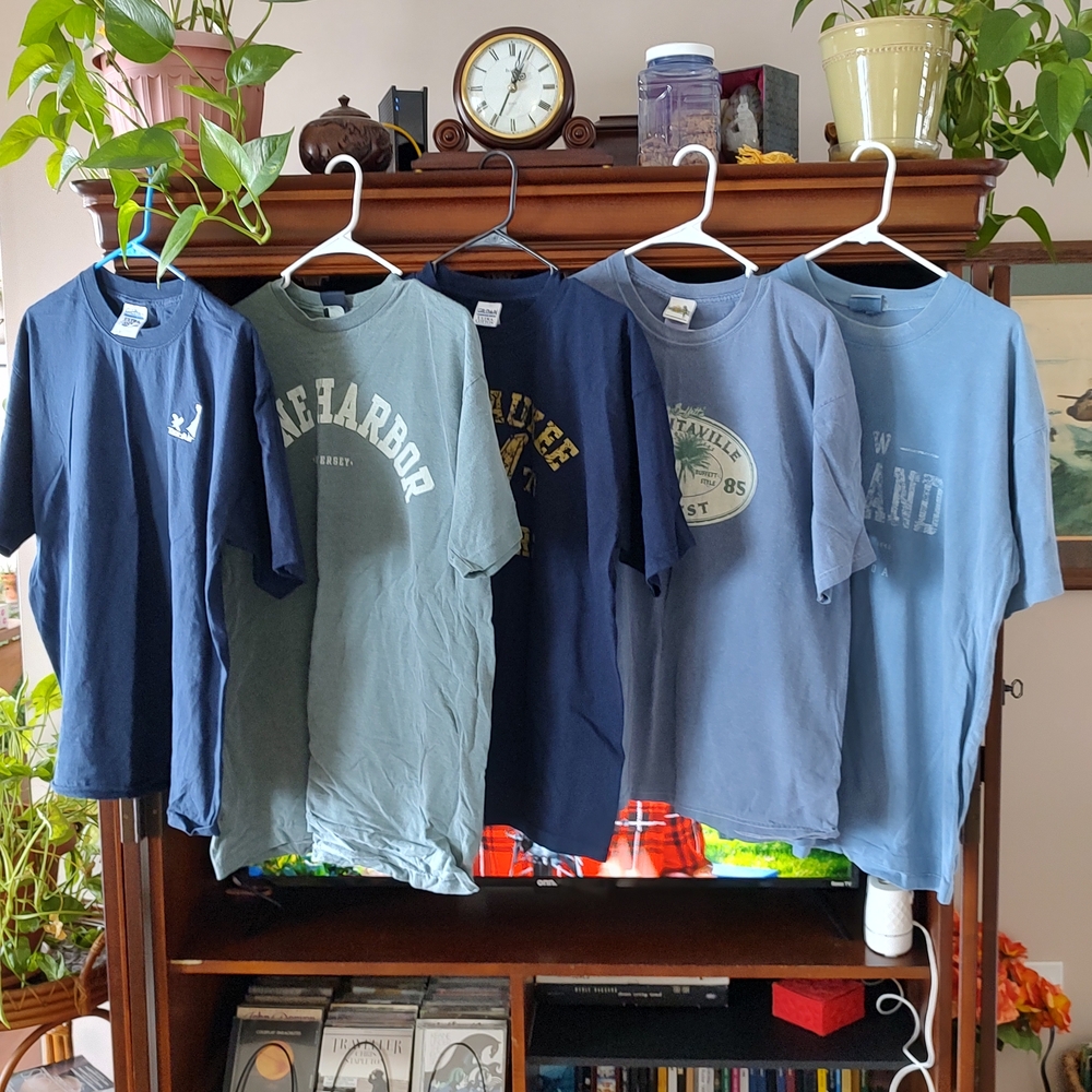 Men's Short Sleeve Graphic Tees - Blue and Green